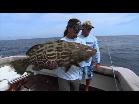 Deep Sea Fishing for Dry Tortuga Grouper and Snapper Key West Florida