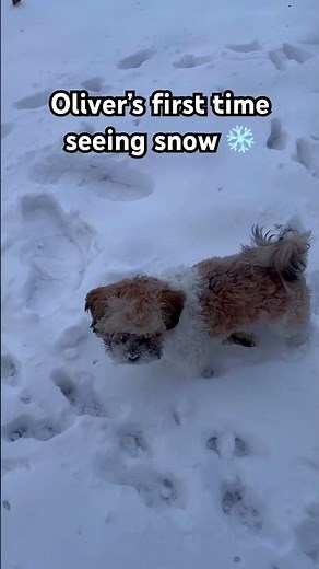 I slipped on ice and fell on a chunk of ice so my back hurts