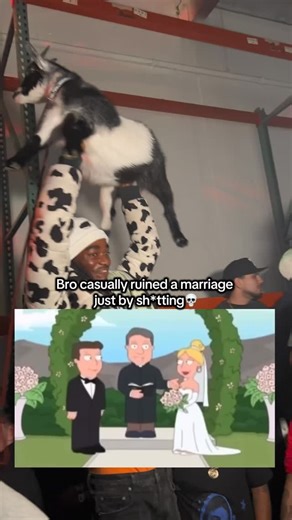 Lil Litty on Instagram: "😭😭😭 “Goat Rapping Backwards” proves Lil Litty values expression over perfection 🎧🧠. Real baby goat sounds fill the beat 🐐🎶, and backwards bars disrupt the flow just enough to make the song feel alive 🔁🗣️. It’s experimental, playful, and fearless — the same traits that define his entire world. Those goats are the foundation of Lemonade Millionaires 🍋💰, featuring rare one-of-one clothing like green and blue camo goat puffers, the legendary cow puffer jacket, tie