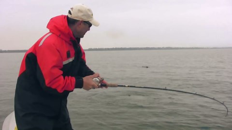 Landing a huge 23 lb salmon with a small fishing net