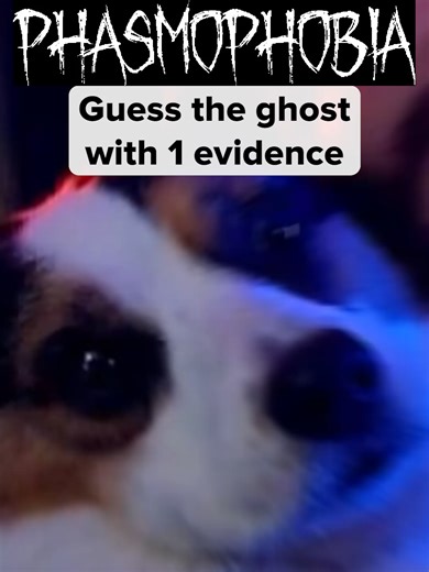 Guess the Ghost Challenge in Phasmophobia Episode 149