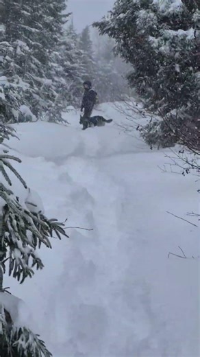 snowshoeing in a snow storm