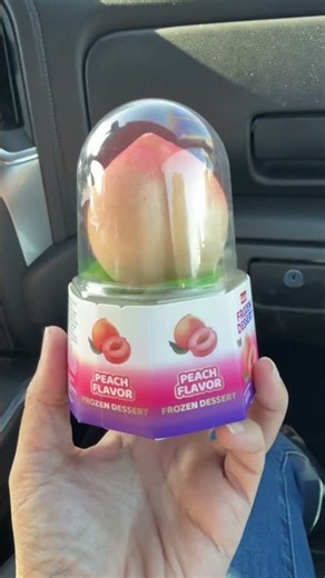 I Tried Costco’s Viral Aiko 3D Fruit Dessert!