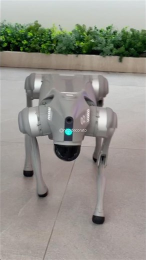 ROBO-DOG spotted in Dubai 🐶🤖🇦🇪 #robocop #robodog #robot #robotics