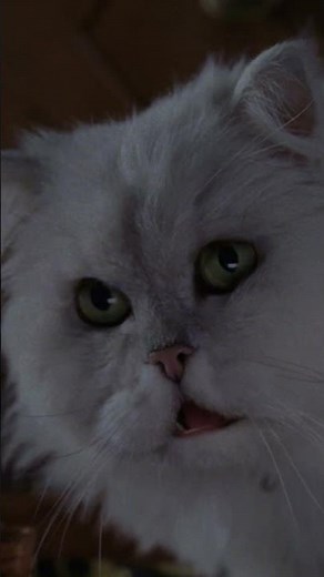 A Man or a Mouse? #StuartLittle2 #MichaelJFox #NathanLane