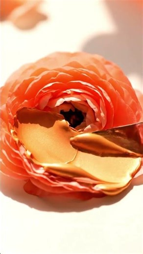 "This Ranunculus Became Paint Mid-Crush"