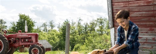 DOG'S PURPOSE, A Trailer (2017)