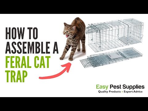 How to Assemble The Feral Cat Trap