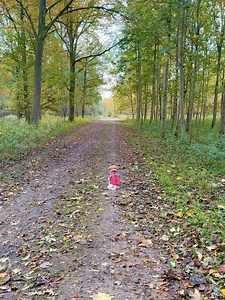 11K views · 50 reactions | Se lige hvor dygtig, hun er  | Work & Travel - Anja Robanke | Facebook