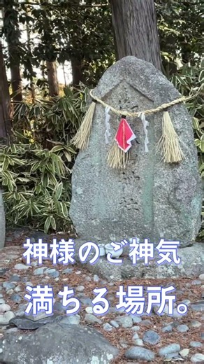 名古屋屈指の開運スポット｜神様の清らかなご神気をお届けします #遠隔参拝 #諏訪神社 #開運 #パワースポット #神社仏閣パワースポット #リモート参拝 #運気上昇 #今日から開運 #スピリチュアル