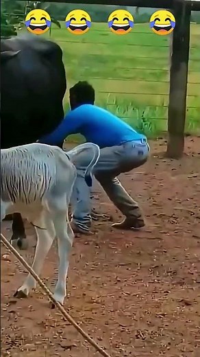 Epic fail reactions 😂 #funny #hilariousfails #funnyvideos