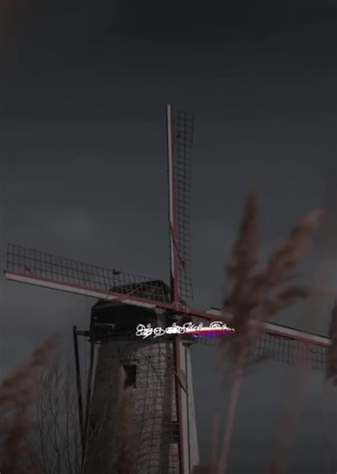 Ladyboss26 (@lady_boss_26)’s videos with original sound - Ladyboss26