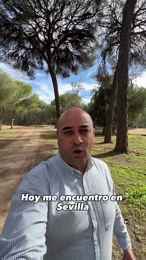 1.3K views · 55 reactions | Primer contacto con la Ford Tourneo Custom. @pablogrjm te cuenta todas las novedades en el siguiente vídeo. #ford #tourneo #tourneocustom #camper #campervan #van | Motor1.com España | Facebook