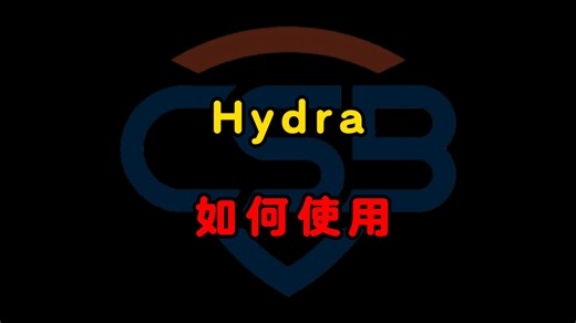 如何使用Hydra