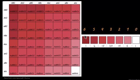 Polygenic Inheritance