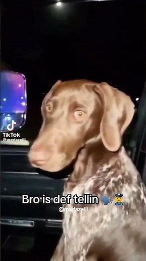 He buggin so he must not know that I'm Thuggin TikTok