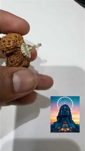 Original Gauri Shankar Rudraksha with Silver Capping | Benefits #tashvim #ytshorts #rudraksha