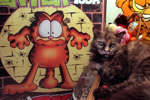 ‘Garfield’ 2D animated series ordered at Paramount