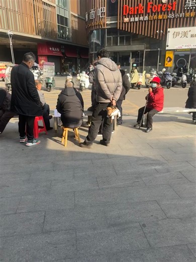 @toufique0013 on Instagram: "Look at this little fluff being carried around 🐶💛 Tiny paws dangling, eyes full of curiosity 👀✨, and a soft fur coat that’s impossible not to cuddle 🛍️💖. Every wag of the tail and every happy wiggle is a reminder that life is better with a loyal companion by your side 🌿💫. Whether it’s exploring the streets, enjoying the sun, or just being wrapped in loving arms, this pup knows how to make every moment adorable and unforgettable 🐾💛. #CuteDog #PuppyLove #Fluff