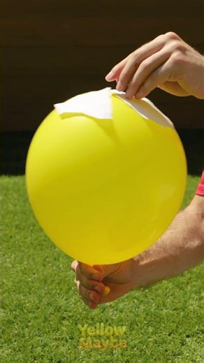 This Is NOT A Normal Tissue Box 😳🧻