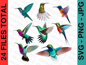 Hummingbird - Hummingbird Art, Hummingbird Svg, Hummingbird Png, Hummingbird Jpg, Hummingbird Cricut, Hummingbird Design Bundle - Etsy