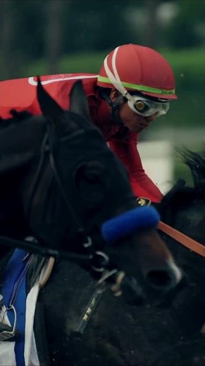 Classic Meet Opening Day Friday, December 26th, 2025 #horse #horserace #racing #jockeys