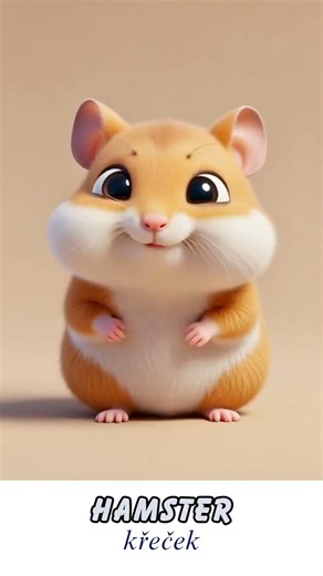 cute animated hamster