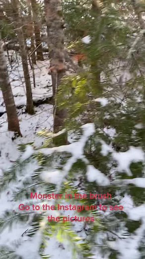 BMC Guide Service on TikTok