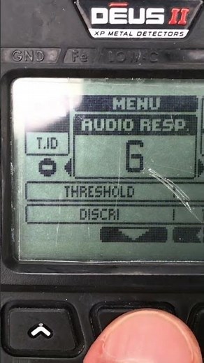 XP Deus 2 Beach Settings Savannah Harps #shorts