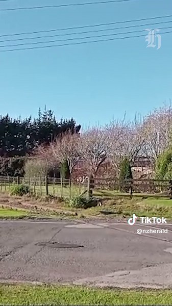 An 80-tonne heritage train came within moments of slamming into the driver’s side of a ute in Taranaki, with the close call at a level crossing caught on camera by a trainspotter. 🔗 Get the full story via the link in our bio.