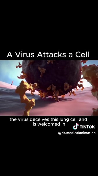 Dr. Medical Animation on TikTok