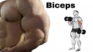 508K views · 4.7K reactions | Do you want to improve the shape of...