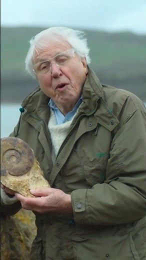David Attenborough + fossils = pure joy #naturepbs #wildlife #nature #stem #davidattenborough