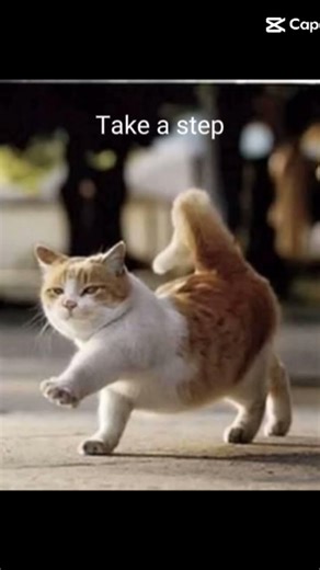 how to walk edit🔥