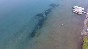 1.2K views | Coho attacks a spinner, then spits it out on the first jump...right in front of our lodge  We still have some prime openings for this coming season on the Egegik River. Check out all the details at https://becharoflodgefishing.com/ and let's go fishing! | Becharof Lodge | Facebook