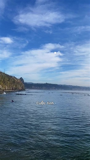 Understanding Creator Search Insights for Effective Hashtag Use