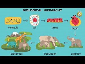 Grade 12 Biology Chapter 1 Introduction to Biology Part 1
