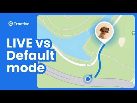 How to Track Your Dog or Cat with the Tractive GPS Tracker | LIVE vs Default Mode