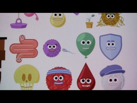 The 12 body systems song