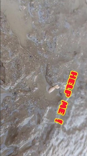 Saving Disney princesses from the mud swamp | Rescuing Muddy Disney Princesses!#short