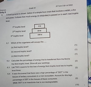 A food pyramid is shown below of a simple food chain that invol... | Filo