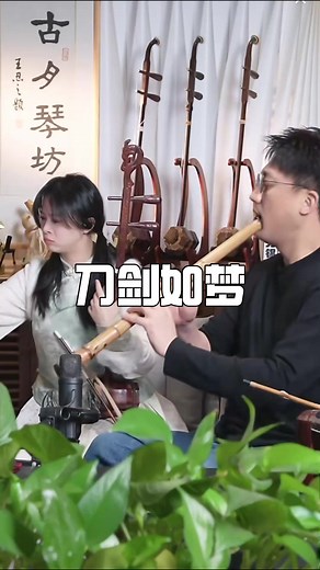 #刀剑如梦 #music #chinesemusic #erhu #二胡