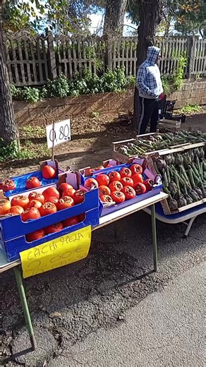 Video di l arca dell alleanza (@larcadellalleanza) con suono originale - l arca dell alleanza