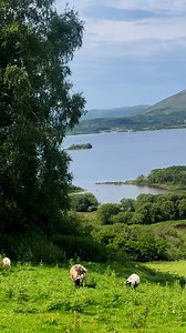102K views · 5.8K reactions | A beautiful afternoon in the hills of Connemara ☘️ #connemara #ireland | This is Ireland's Music | Facebook