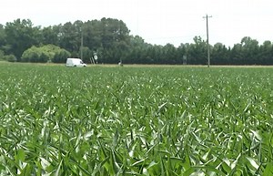 Pesticide license renewals now available online - 47abc