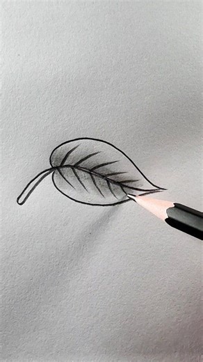 How to drawing leaf #leafdrawing #easydrawing | Md. Takbir Hossain