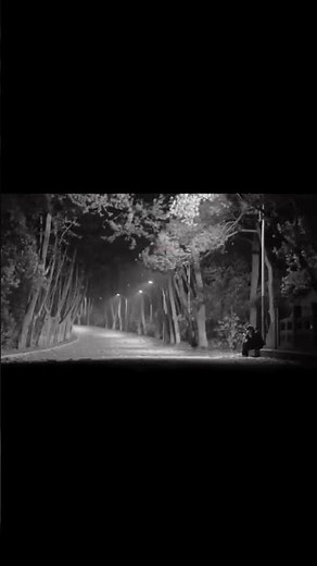 SARA SAHER BEGANA ETHE MERA KOI NA DHURANDHAR ✌️ SONG #song #songs #viral