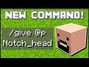 Minecraft 1.21 - How To Get Custom Player Heads (EASY)