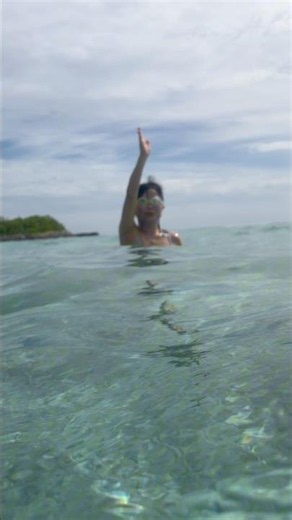 아름다운 몰디브 바다 생물 #몰디브 #몰디브스노쿨링 #maldivesallinclusive