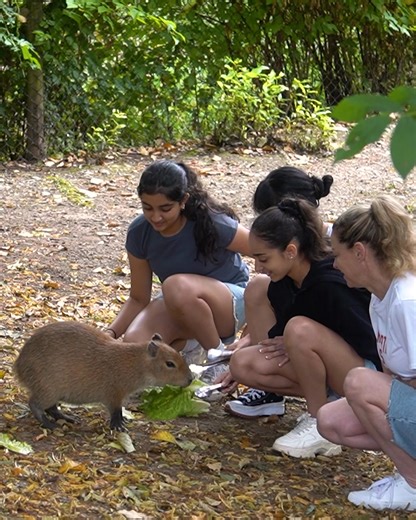Greater Vancouver Zoo on Reels